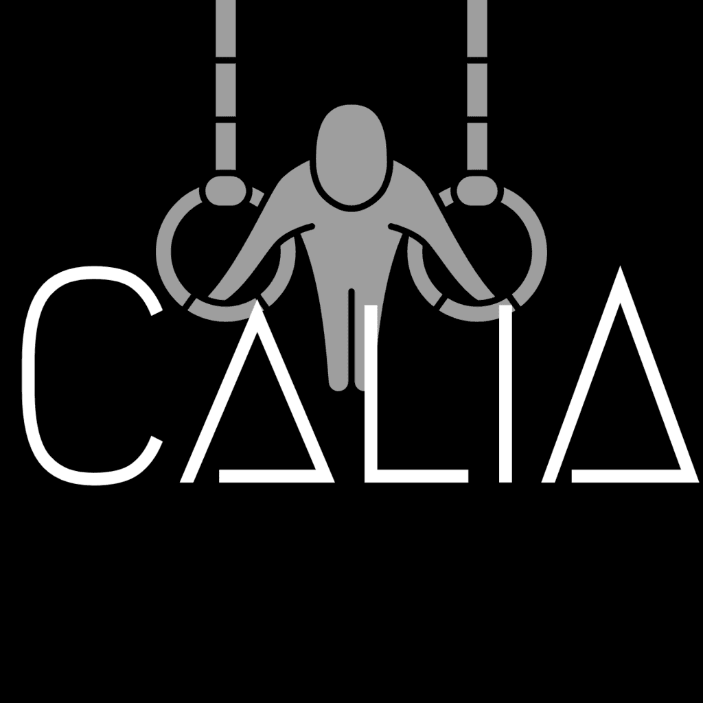 Personal Calisthenics Mobile Application