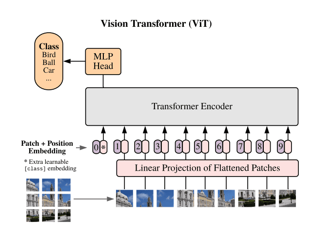 Vision Transformer Image